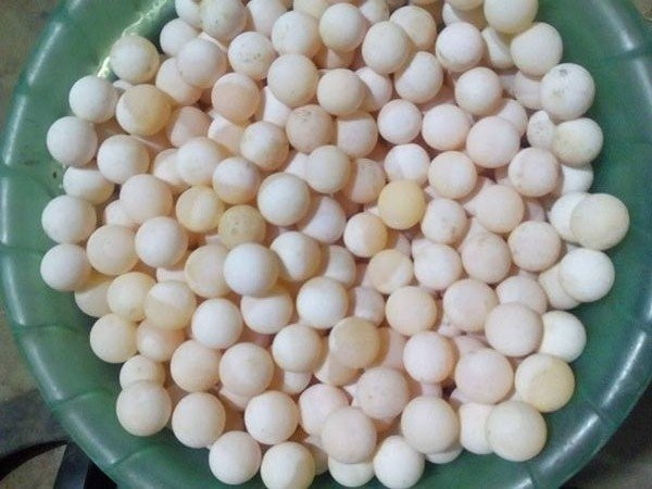 Trứng baba tròn như hòn bi ve, nhỏ hơn trứng chim cút, màu trắng vàng, giá từ 4.000 - 5.000 đồng/quả. Ảnh: Vietnamnet.