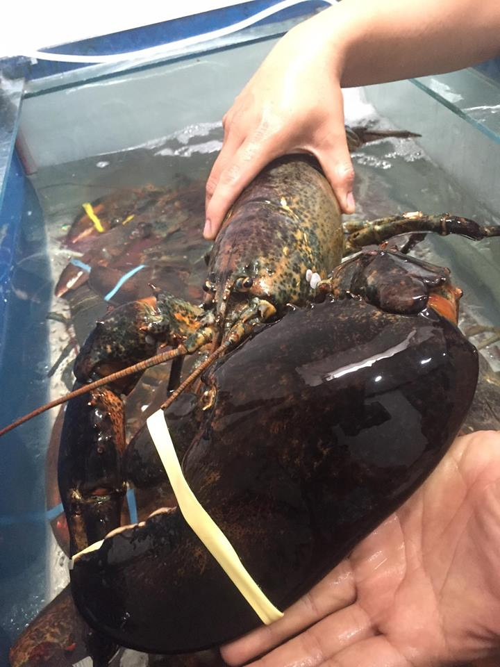 Trước đây, tôm hùm Alaska được xem là món hải sản đắt đỏ chỉ dành cho giới siêu giàu. Ảnh: Facebook.