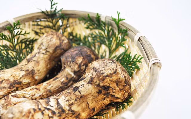 Ở Việt Nam, không dễ mua được nấm Tùng nhung vì ít người bán. Mỗi lần ăn, khách thường phải phải đặt trước từ 10-15 ngày. Nguồn ảnh: Facebook.