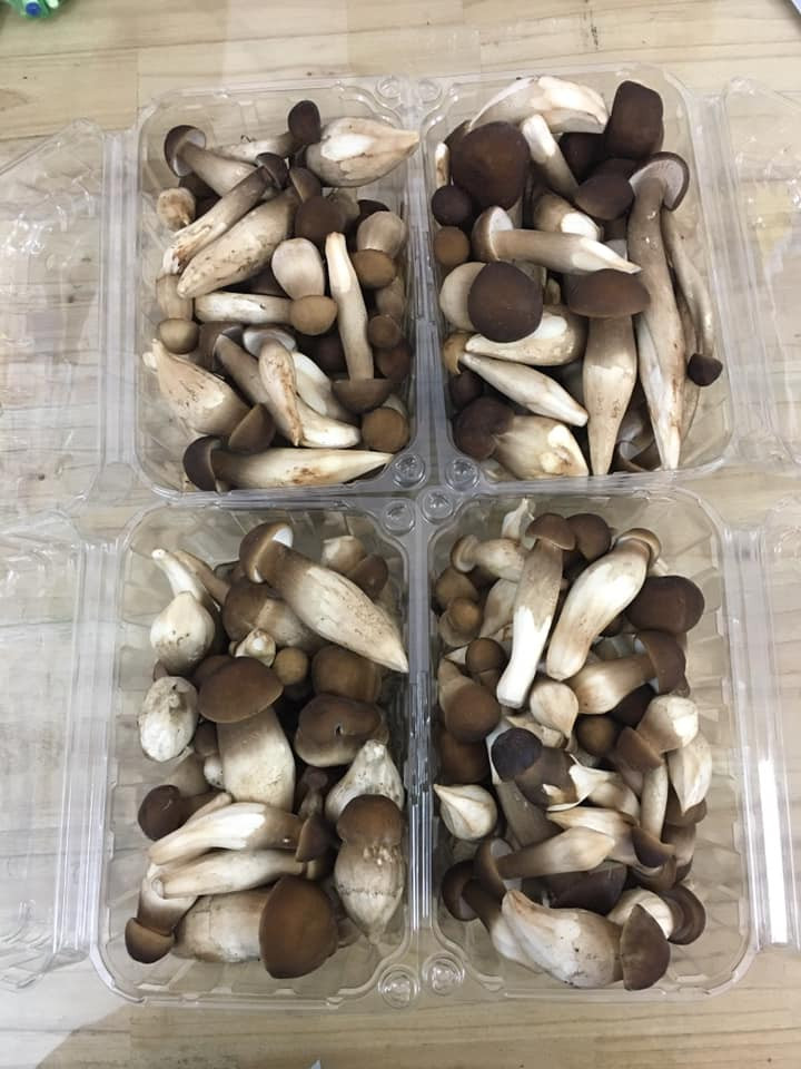 Dù giá đắt nhưng nấm mối vẫn được nhiều khách đặt mua bởi nấm mối rất ngon, có vị ngọt tự nhiên và không có mùi hôi meo như các nấm khác.