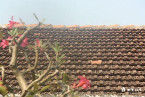 Mái ngói cổ trước đây được thay thế toàn bộ bằng ngói mới. Ảnh: Infonet.