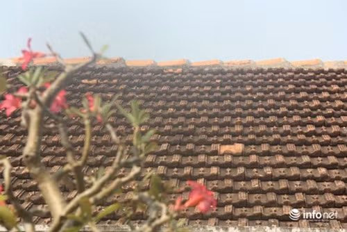 Mái ngói cổ trước đây được thay thế toàn bộ bằng ngói mới. Ảnh: Infonet.