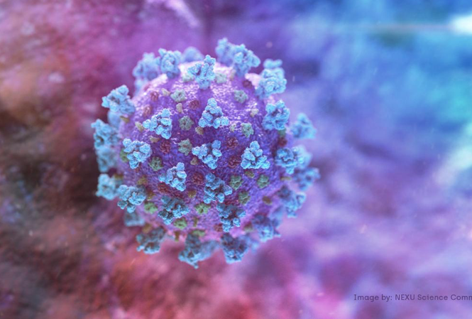 Nhom nha khoa hoc Anh san xuat hang trieu lieu vac-xin COVID-19 du chua thu nghiem