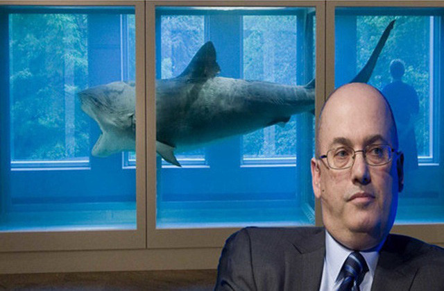 Năm 2004, tỷ phú người Mỹ, Steve Cohen đã mua xác của một con cá mập hổ với chiều dài 4,2 mét để làm vật trưng bày cho ngôi nhà của mình.