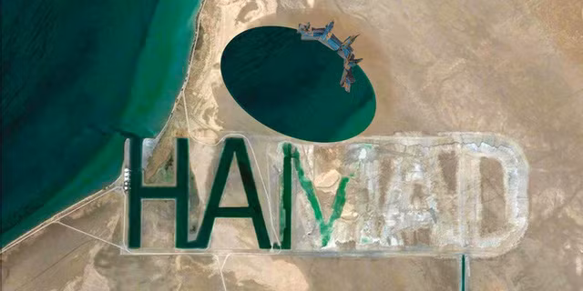 Hamad Bin Hamdan Al Nahyan - vị lãnh đạo siêu giàu của Các tiểu vương quốc Ả Rập thống nhất đã quyết định chi 22 tỷ USD mua lại toàn bộ hoàn đảo Al Futaisi ở Abu Dhabi, thuê nhân công đào cát theo tên của ông trên cát để có thể nhìn thấy từ trạm vũ trụ.