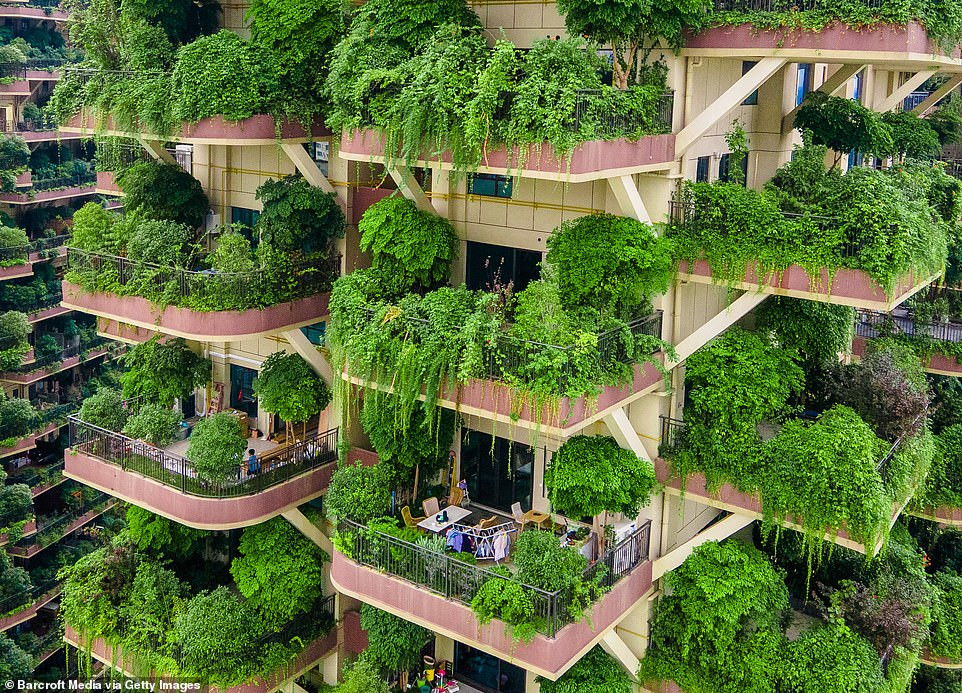 Các căn hộ tại chung cư này đều được thiết kế có ban công riêng trồng tới hơn 20 loại cây xanh giống như một khu vườn thu nhỏ.