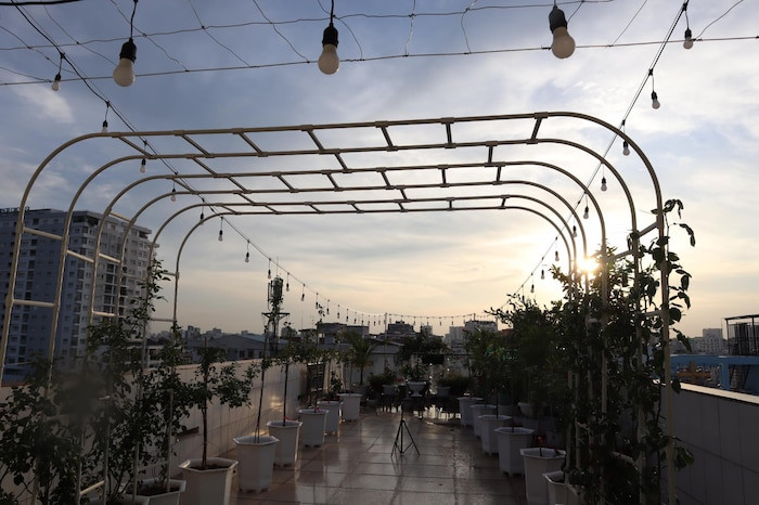 Kiện tướng dancesport còn tỉ mỉ bón phân hữu cơ cho vườn hồng với các mẹo bỏ thêm vỏ trứng, chuối chín và đều đặn tưới hoa vào buổi sáng và chiều muộn cho cả vườn hồng.