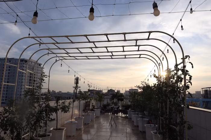 Kiện tướng dancesport còn tỉ mỉ bón phân hữu cơ cho vườn hồng với các mẹo bỏ thêm vỏ trứng, chuối chín và đều đặn tưới hoa vào buổi sáng và chiều muộn cho cả vườn hồng.