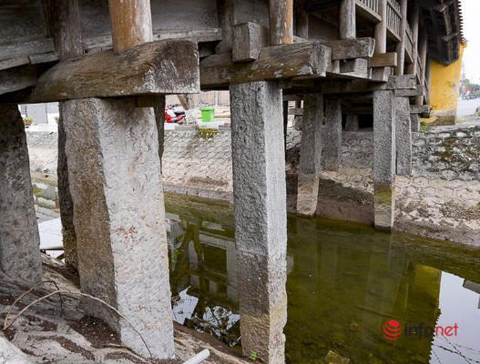 Tan muc cau Ngoi 500 nam tuoi dep nhat mien Bac-Hinh-3