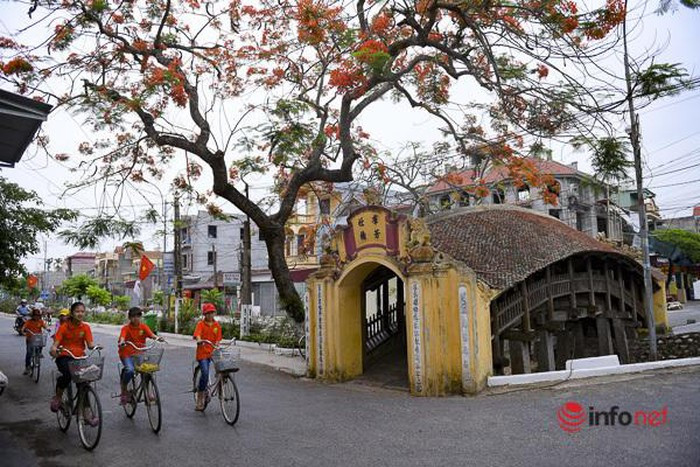 Tan muc cau Ngoi 500 nam tuoi dep nhat mien Bac