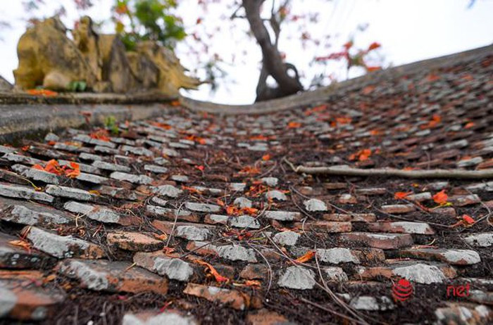 Tan muc cau Ngoi 500 nam tuoi dep nhat mien Bac-Hinh-7