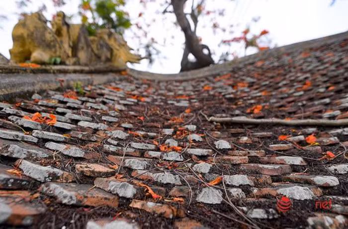 Tan muc cau Ngoi 500 nam tuoi dep nhat mien Bac-Hinh-7