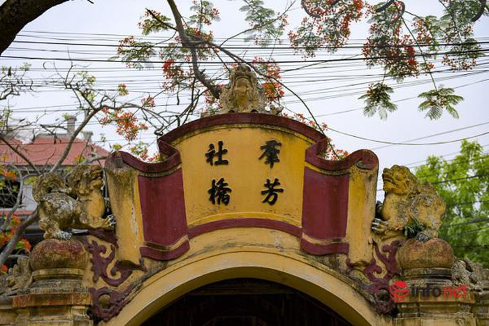 Tan muc cau Ngoi 500 nam tuoi dep nhat mien Bac-Hinh-8