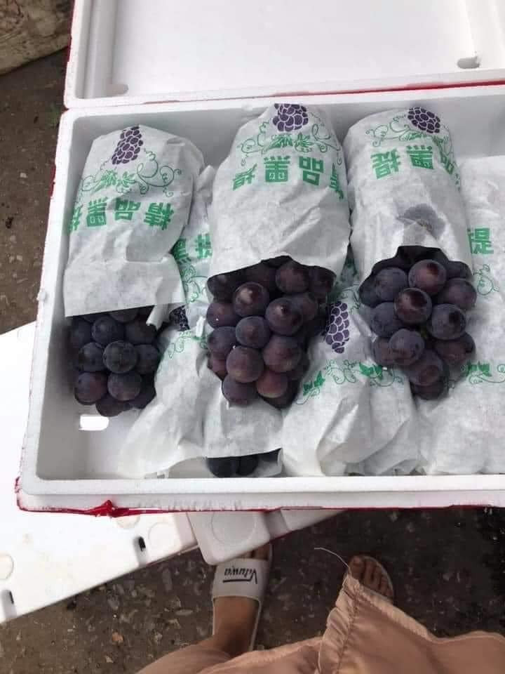 Đáng nói, quảng cáo là nho Ninh Thuận nhưng bên cạnh chùm nho lại có túi đựng nho in chữ Trung Quốc. Điều này khiến không ít người cho rằng đây là nho Trung Quốc.