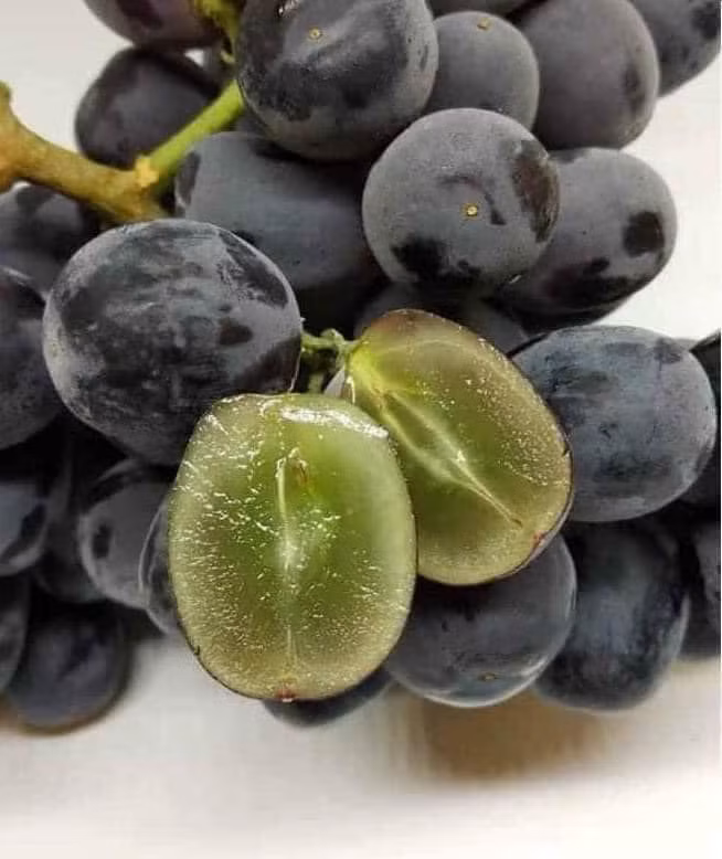 Do đó, người tiêu dùng nên lựa chọn kỹ để không mua phải nho Trung Quốc không rõ nguồn gốc xuất xứ gắn mác nho Ninh Thuận, làm ảnh hưởng đến đặc sản nho trong nước. Nguồn ảnh: Facebook Video: Khám phá vườn nho Ninh Thuận. Nguồn: VTC1