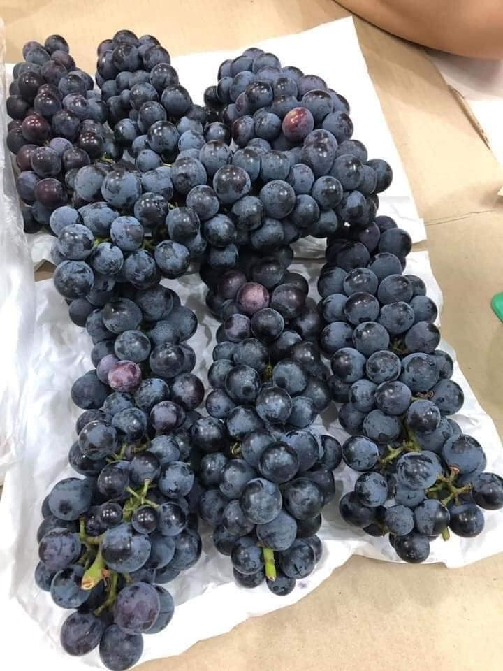 Tài khoản này cho biết, loại nho đen không hạt được rao bán rầm rộ với giá rẻ thời gian qua 100% là nho Trung Quốc. Ninh Thuận không trồng loại nho này.