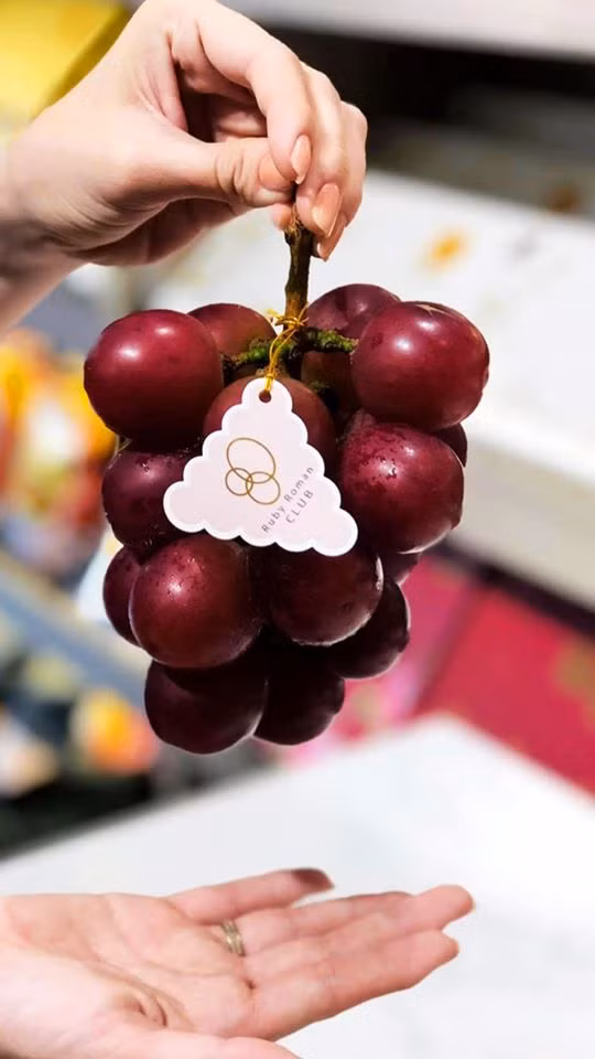 Tại Nhật Bản, nho Ruby Roman bán thông qua đấu giá. Trong cuộc đấu giá gần nhất, một chùm cho được đấu giá đến 300 triệu đồng. Ảnh: FB Nguyễn Huyền.