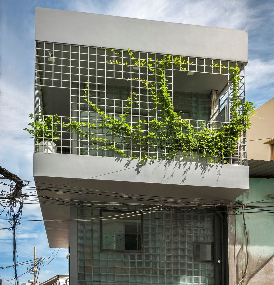 Dàn cây dây leo giúp che chắn cho phía mặt tiền khỏi nhiệt độ trực tiếp từ mặt trời.