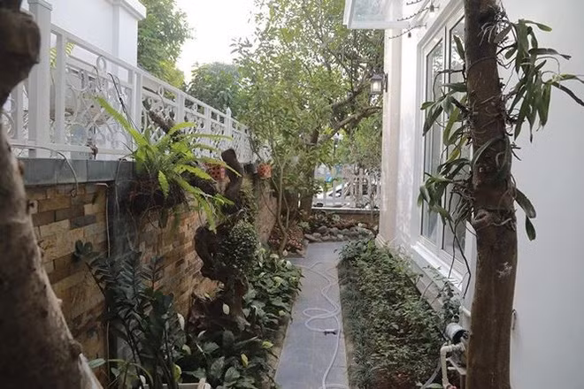 Phía trước nhà có rất nhiều loại cây như vối, xoài, hoa giấy, me. Ảnh: Tiền phong.