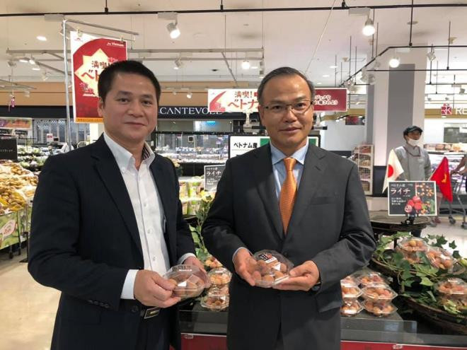 Lô quả vải xuất khẩu phải được đóng gói và xử lý xông hơi khử trùng bằng Methyl Bromide tại các cơ sở được cơ quan chức năng công nhận với liều lượng tối thiểu là 32g/m3 trong thời gian 2 giờ dưới sự giám sát của cán bộ kiểm dịch thực vật Việt Nam và Nhật Bản.