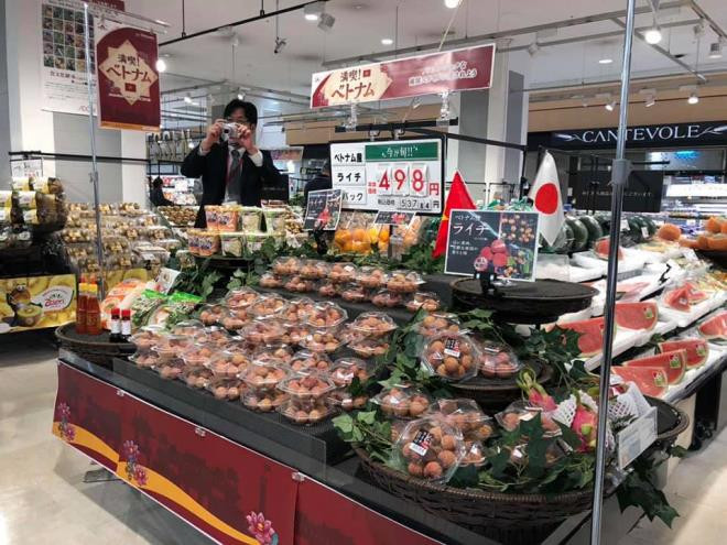 Do đó các chuyên gia Nhật sang Việt Nam phải thực hiện cách ly hai tuần theo quy định.