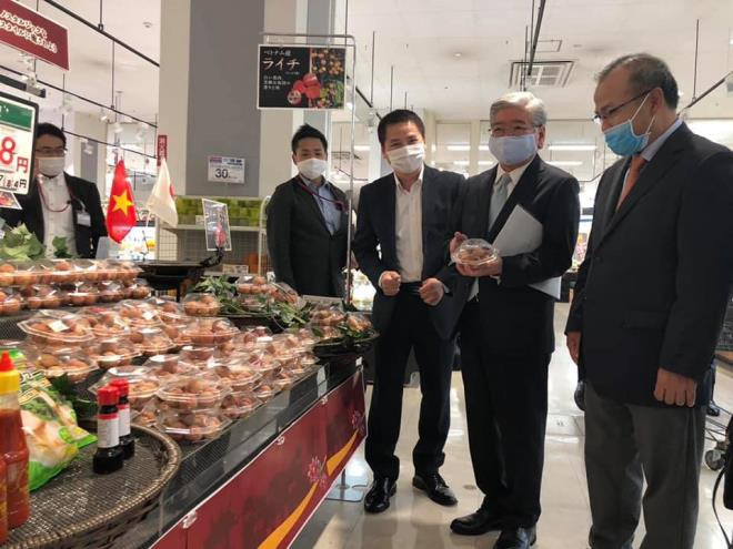 Tuy nhiên để được xuất khẩu sang Nhật, quả vải thiều phải được trồng tại các vườn được Cục kiểm tra, giám sát và cấp mã số vùng trồng, đáp ứng quy định về kiểm dịch thực vật và an toàn thực phẩm của Nhật Bản.