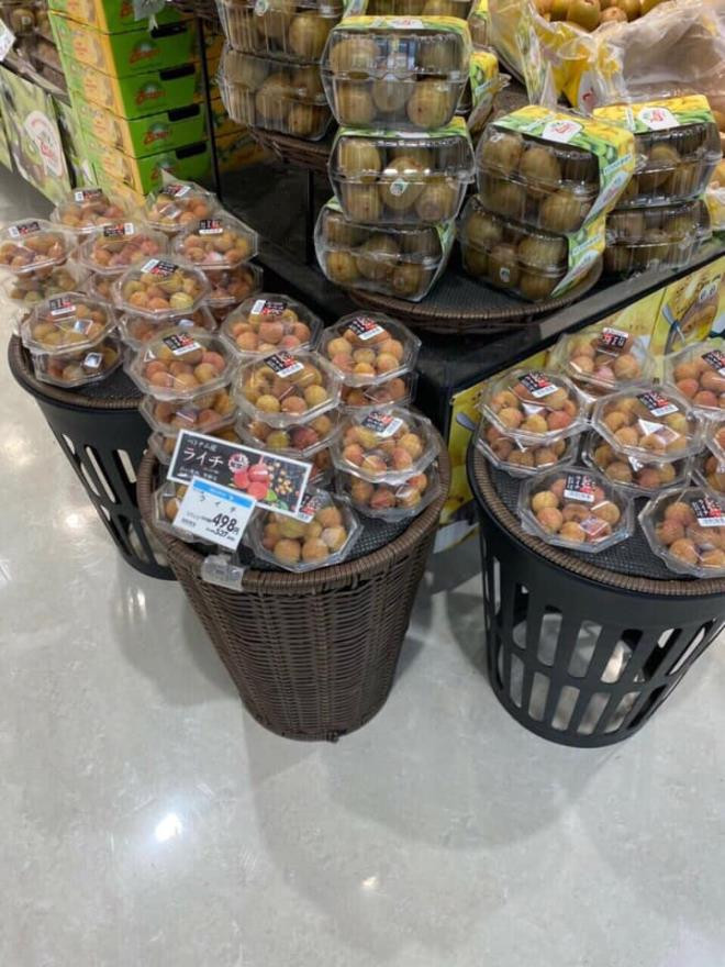 Ảnh hưởng của dịch COVID-19, nhiều chuyên gia nông nghiệp Nhật gặp khó khăn trong việc sang Việt Nam giám sát khâu đóng gói và xử lý xông hơi khử trùng.