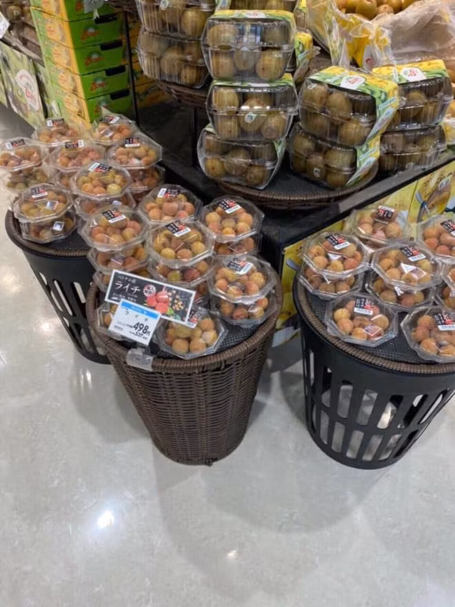 Ảnh hưởng của dịch COVID-19, nhiều chuyên gia nông nghiệp Nhật gặp khó khăn trong việc sang Việt Nam giám sát khâu đóng gói và xử lý xông hơi khử trùng.