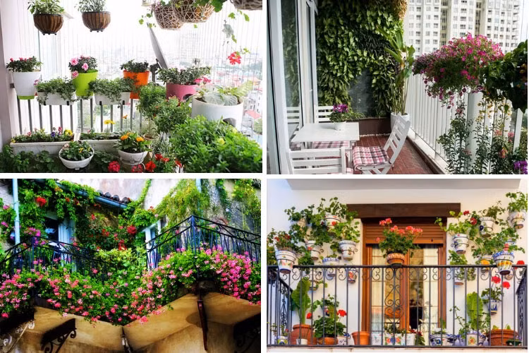 Trong hoa ban cong hut tai loc vao nha, gia chu luc nao cung hoa thuan em am