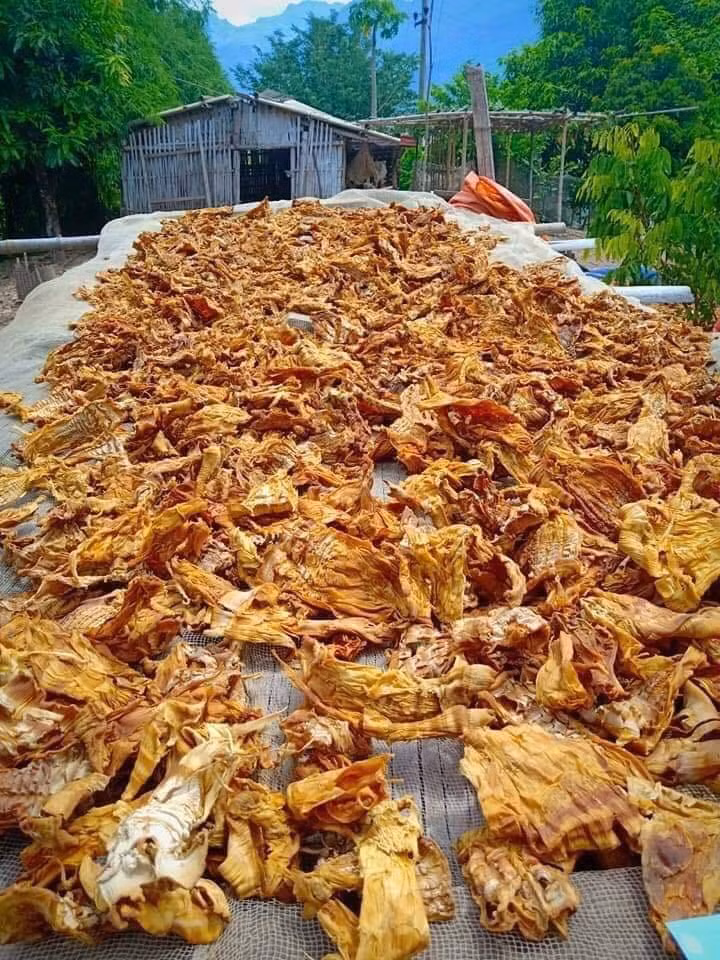 Trái lại, măng khô sấy lưu huỳnh thường có mùi nồng nặc đặc trưng của diêm sinh. Tốt hơn hết, nên chọn mua loại măng khô có nhãn mác và xuất xứ rõ ràng.