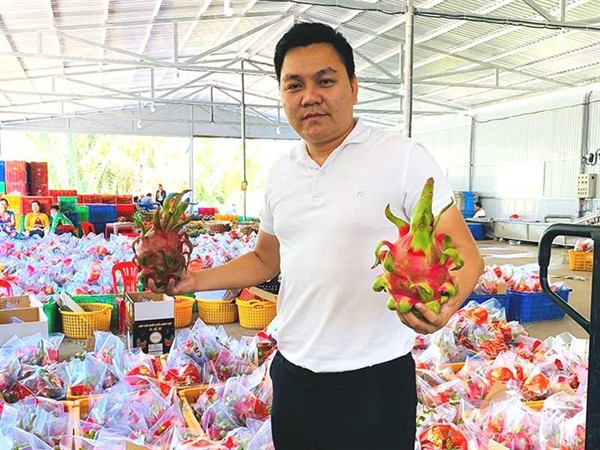 Số liệu của Cục Bảo vệ thực vật (Bộ NN&amp;PTNT) cho thấy, tính đến ngày 31/1, có 267 xe thanh long chưa được làm thủ tục thông quan và ùn ứ tại các cửa khẩu ở Lạng Sơn, Lào Cai. Ảnh: Plo.