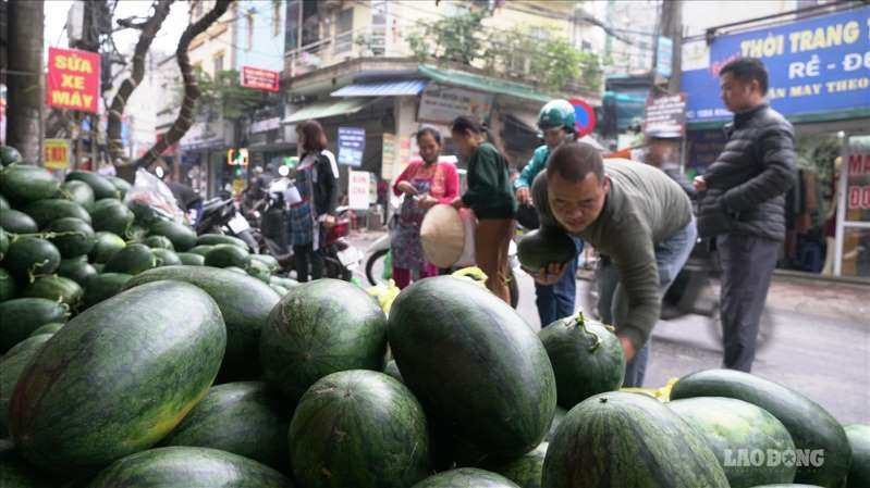 Để giúp người trồng vượt qua đợt khủng hoảng này, một số nhóm từ thiện đứng ra thu mua nông sản với giá tốt sau đó vận chuyển về các thành phố lớn để tiêu thụ. Ảnh: Lao động.
