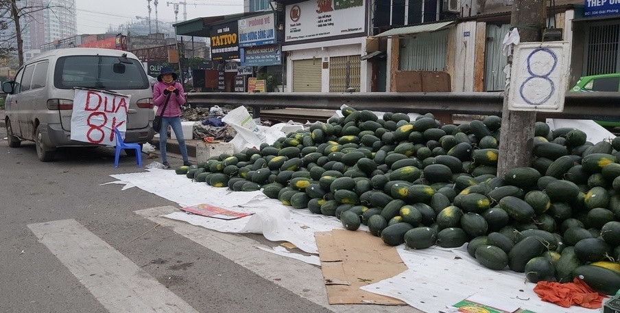 Không chỉ thanh long, dưa hấu Việt xuất khẩu sang Trung Quốc tắc vì virus corona phải ngược từ cửa khẩu về Hà Nội bán tháo với giá chỉ 8.000 đồng/kg. Ảnh: Baogiaothong.