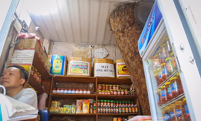 Thậm chí, có những cây đâm xuyên qua giữa nhà. Ảnh: Dân Việt.