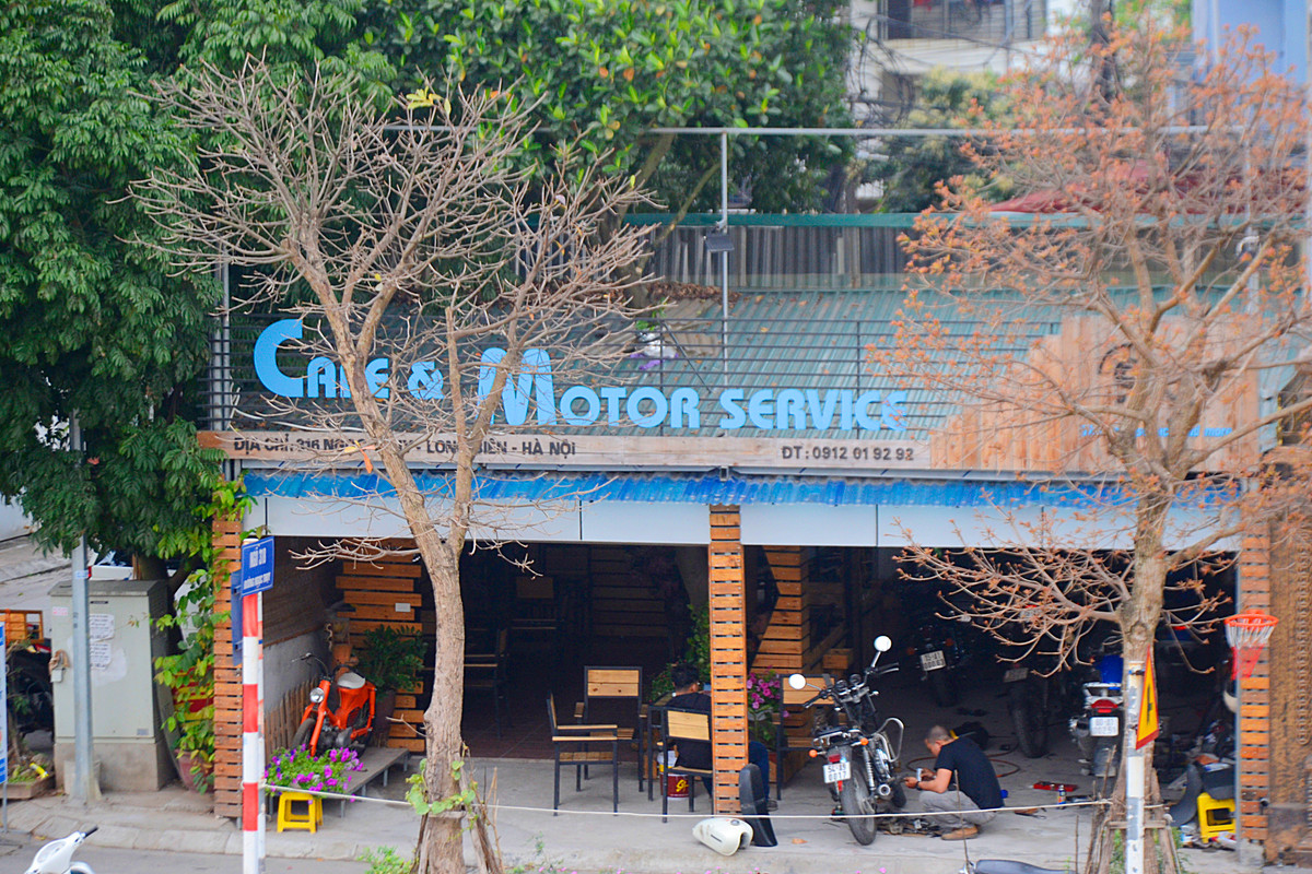 Doc dao nhung ngoi nha cay moc “xuyen mai” o Ha Noi