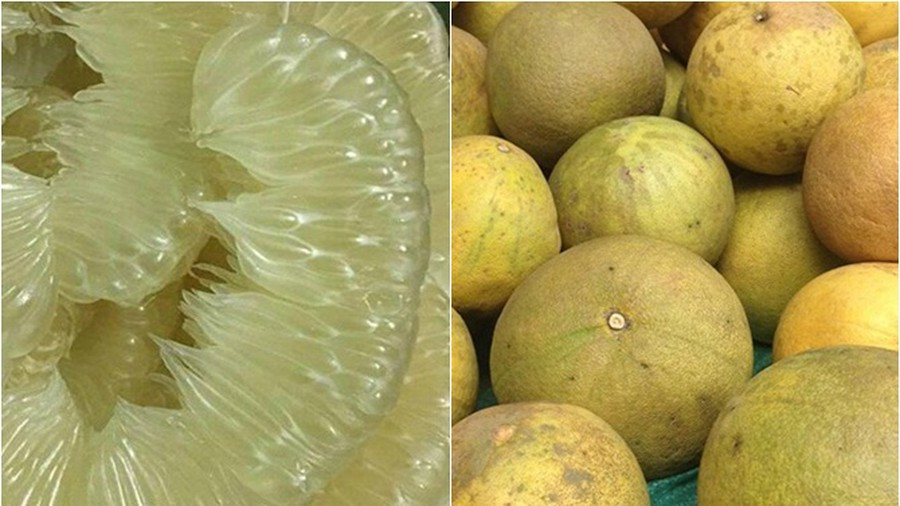 Trong khi đó, bưởi Diễn và bưởi Đoan Hùng vỏ ngoài có màu vàng nhưng trọng lượng khá nhỏ, nặng chỉ dưới 1,2kg/quả, thậm chí có quả chỉ 6-8 lạng. Ảnh: Internet