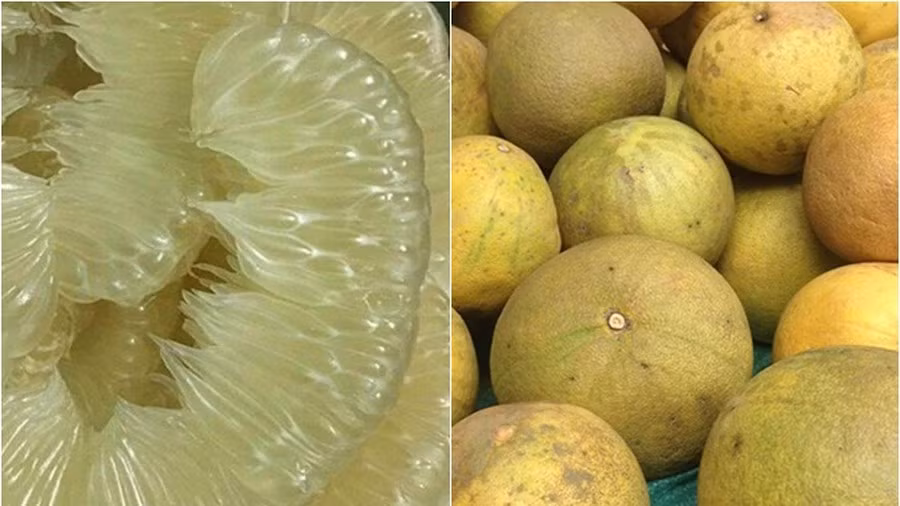 Trong khi đó, bưởi Diễn và bưởi Đoan Hùng vỏ ngoài có màu vàng nhưng trọng lượng khá nhỏ, nặng chỉ dưới 1,2kg/quả, thậm chí có quả chỉ 6-8 lạng. Ảnh: Internet