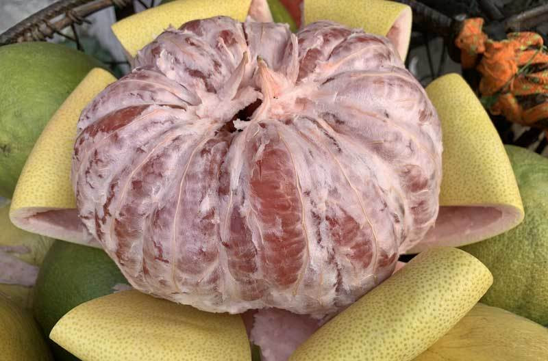 Khi bổ bưởi sẽ thấy vỏ và cùi rất mỏng; múi bưởi to nhưng ăn có vị hơi chua, thậm chí có vị hơi ngăm ngăm đắng; tép bưởi ít nước và đặc biệt là không có mùi thơm đặc trưng như các loại bưởi của Việt Nam. Ảnh: Vietnamnet.