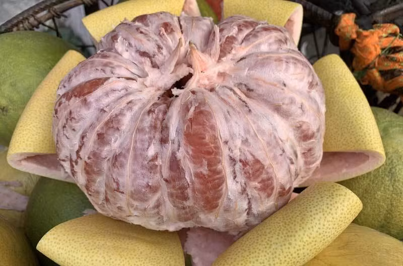 Khi bổ bưởi sẽ thấy vỏ và cùi rất mỏng; múi bưởi to nhưng ăn có vị hơi chua, thậm chí có vị hơi ngăm ngăm đắng; tép bưởi ít nước và đặc biệt là không có mùi thơm đặc trưng như các loại bưởi của Việt Nam. Ảnh: Vietnamnet.