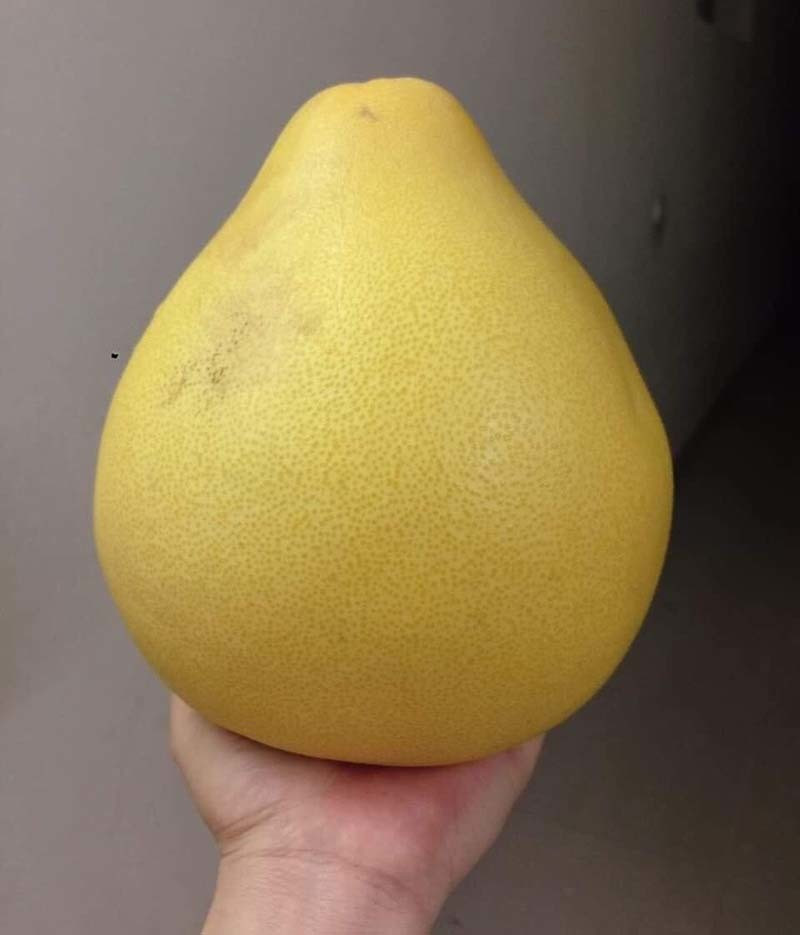 Vậy làm thế nào để phân biệt được đâu là bưởi Trung Quốc, đâu là bưởi Việt để tránh mua nhầm? Ảnh: Vietnamnet.