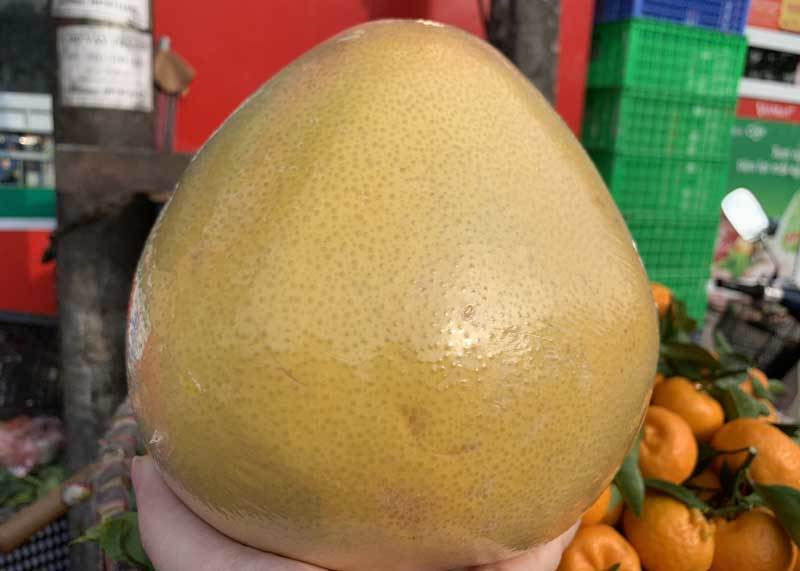 Một số người chuyên bán hoa quả tiết lộ, bưởi Trung Quốc có đặc điểm rất dễ nhận biết, đó là mẫu mã rất đẹp, vỏ bưởi nhẵn, màu vàng bóng. Ảnh: Vietnamnet.