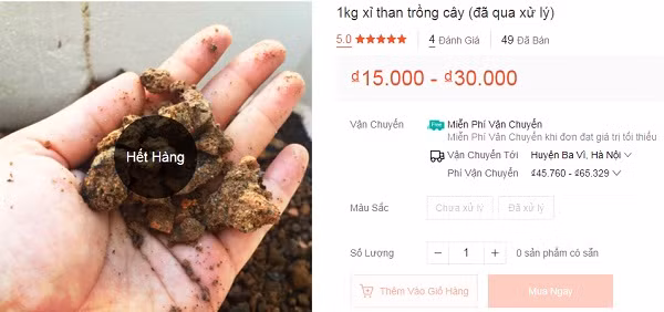 Het la bang kho, xi than to ong bong dat hang tren cho mang-Hinh-2