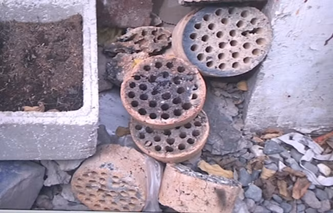 Cần dùng than tổ ong để làm cho nước nuôi cá trong hơn nhưng anh Ngô phải đặt tới mấy lần tên shopee mới có vì thường xuyên trong tình trạng hết hàng.