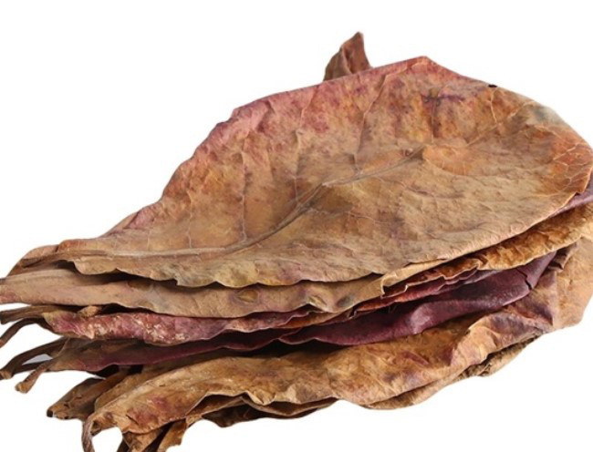 Hết lá bàng khô, xỉ than tổ ong bỗng đắt hàng trên chợ mạng Het la bang kho, xi than to ong bong dat hang tren cho mang