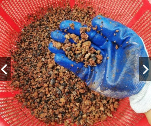 Anh Ngô (Hoàng Mai, Hà Nội) cho biết, xỉ than tổ ong có nhiều tác dụng như trộn chung với đất trồng tạo độ tơi xốp, thoát nước tốt có thể lọc nước, tăng hệ vi sinh miễn dịch cho cá, làm chỗ trú cho cá con.