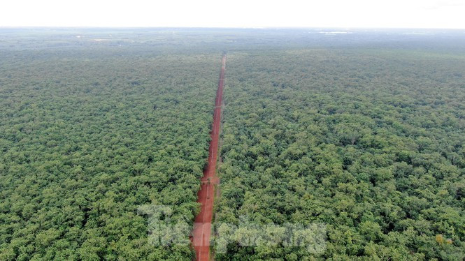 UBND huyện Long Thành cho biết, đến thời điểm hiện tại, cơ bản các hộ dân đã đồng thuận chủ trương, địa phương đã kiểm đếm và áp giá bồi thường.