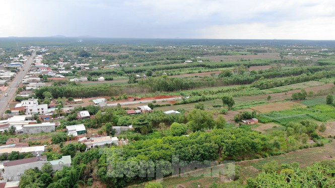 Việc xác định giá đất làm căn cứ bồi thường tại xã Bình Sơn, huyện Long Thành được UBND tỉnh Đồng Nai chia làm 2 khu vực, gồm phần diện tích trước đây thuộc ranh giới các xã Suối Trầu, Cầm Đường, Bàu Cạn rộng 1.737ha và phần ranh giới các xã Long An, Long Phước, Bình Sơn rộng 1.290ha. Theo đó, đơn giá bồi thường giao động từ 161.000 đồng/m2 đến 5.106.000 đồng/m2, tùy vị trí và loại đất bị thu hồi.