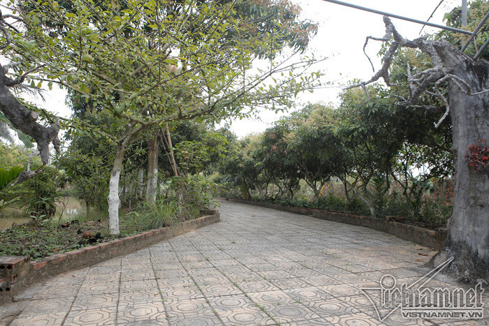 Bên trong, nghệ sĩ cho trồng rất nhiều cây xanh. Ảnh: Vietnamnet.