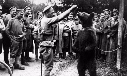 Khi Chiến tranh thế giới 1 kết thúc, gấu Misha rời quân đội Nga và được đưa trở về vườn thú ở Paris.