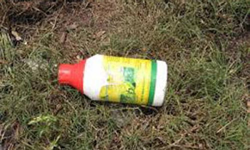 Huệ đã âm mưu đầu độc chồng mình là anh Phi nhưng bất thành. Ảnh minh họa. Huệ đã âm mưu đầu độc chồng mình là anh Phi nhưng bất thành. Ảnh minh họa.